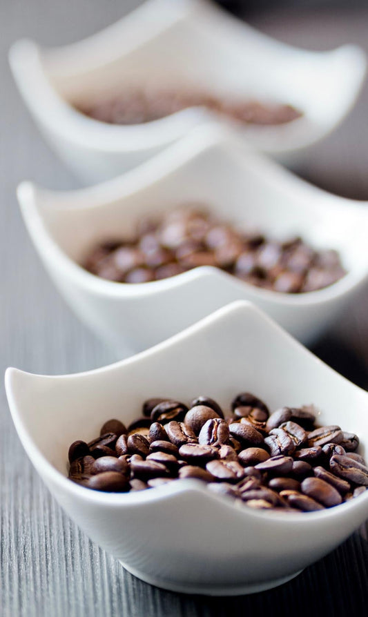 ¿Qué es el café de especialidad?